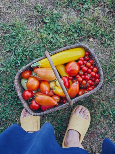 Les industriels adorent nous fourguer du sucre.
